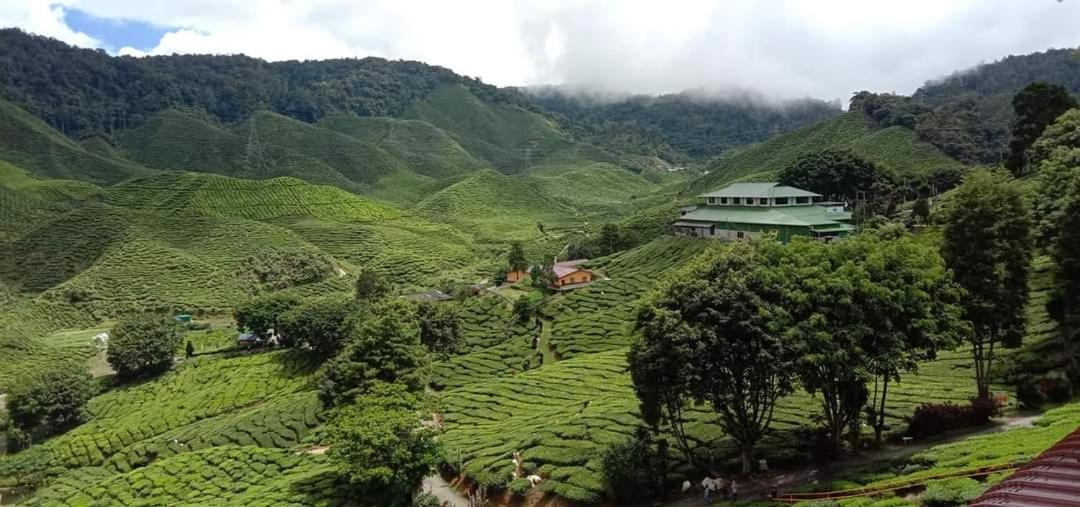 Muslim Homstay@Crown Imperial Court Cameron Highlands Eksteriør bilde