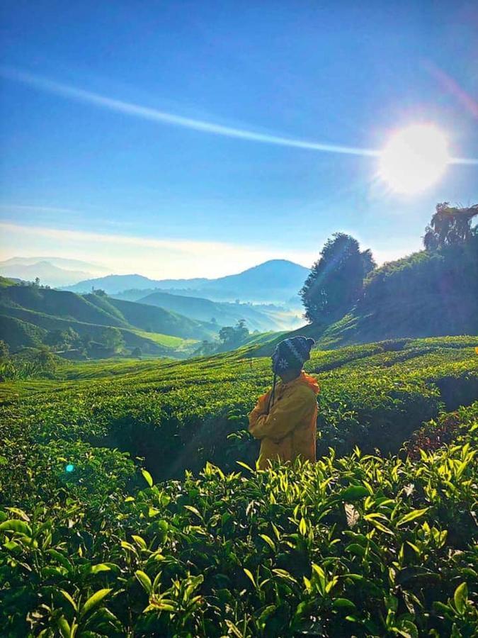 Muslim Homstay@Crown Imperial Court Cameron Highlands Eksteriør bilde